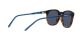 Arnette Momos AN 4289 27741W