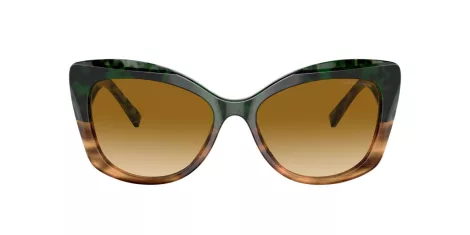 Giorgio Armani AR 8161 59302L