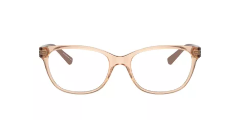 Armani Exchange AX 3037 8342