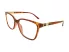 Berkeley BB 2026 Red