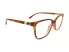 Berkeley BB 2026 Red