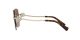 Bvlgari BV 6173B 278/13