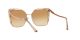 Bvlgari BV 6179 2014/8D