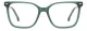 Carrera CA 3011 1ED