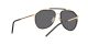 Dolce & Gabbana DG 2277 02/81