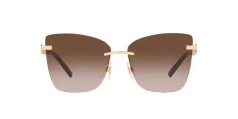 Dolce & Gabbana DG 2289 02/13