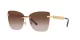Dolce & Gabbana DG 2289 02/13