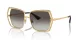 Dolce & Gabbana DG 2306 02/8G