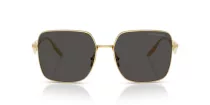 Dolce & Gabbana DG 2310 02/87