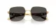 Dolce & Gabbana DG 2310 02/87