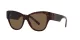 Dolce & Gabbana DG 4449 502/73