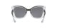 Dolce & Gabbana DG 6170 3349/4R