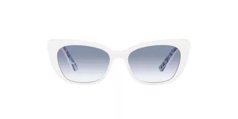 Dolce & Gabbana Kids DX 4427 337119