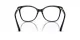 Emporio Armani EA 3231 5017