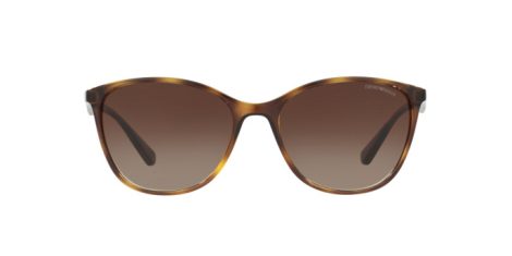 Emporio Armani EA 4073 502613