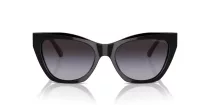 Emporio Armani EA 4176 50178G