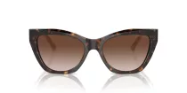 Emporio Armani EA 4176 587913