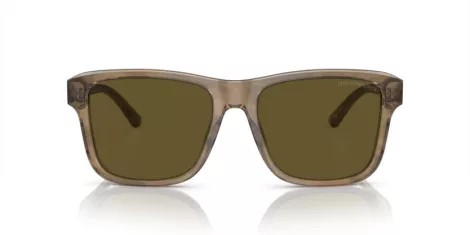 Emporio Armani EA 4208 605573
