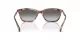 Emporio Armani EA 4238 61953C