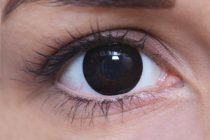 ColourVUE BigEyes Dolly Black (x2)