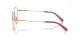 Coach HC 5180TD 9331