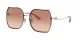 Coach Cd454 HC 7146BD 900513
