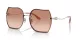 Coach Cd454 HC 7146BD 900513