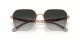 Coach Cw189 HC 7168 93313C