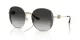 Coach Cad73 HC 7176B 90053C