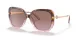 Coach C6180 HC 8320 56505M