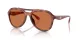 Coach Cw183 HC 8406U 577473