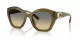 Coach Cad31 HC 8421U 5872L0