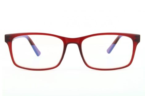 Computer glasses BLF73C