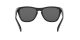 Oakley Frogskins OO 9013 24-306