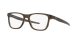 Oakley Centerboard OX 8163 07