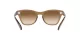 Ray-Ban RB 0707S 6640/51