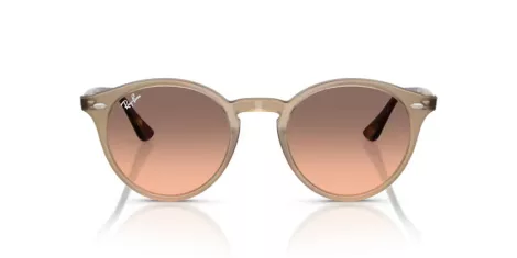 Ray-Ban RB 2180 678846