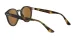 Ray-Ban RB 2180 710/83 Férfi, Női napszemüveg