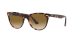 Ray-Ban Wayfarer Ii RB 2185 1334/51