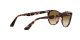 Ray-Ban Wayfarer Ii RB 2185 1334/51