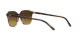 Ray-Ban Leonard RB 2193 138085