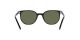 Ray-Ban Elliot RB 2197 901/31