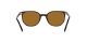 Ray-Ban Elliot RB 2197 902/33