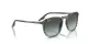 Ray-Ban RB 0RB2203 1391GK