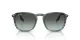 Ray-Ban RB 0RB2203 1391GK