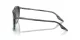 Ray-Ban RB 0RB2203 1391GK