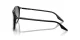 Ray-Ban RB 0RB2203 901/32
