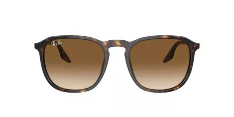 Ray-Ban RB 0RB2203 902/51