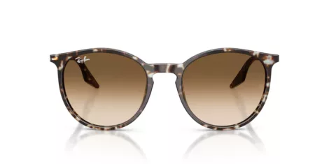 Ray-Ban RB 2204 143151