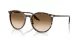 Ray-Ban RB 2204 143151